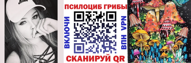 Галлюциногенные грибы Cubensis  как найти закладки  Усолье-Сибирское 